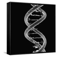 DNA Molecule-Mehau Kulyk-Framed Stretched Canvas