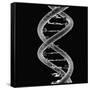 DNA Molecule-Mehau Kulyk-Framed Stretched Canvas
