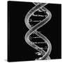DNA Molecule-Mehau Kulyk-Stretched Canvas