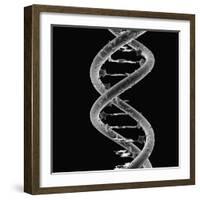 DNA Molecule-Mehau Kulyk-Framed Photographic Print