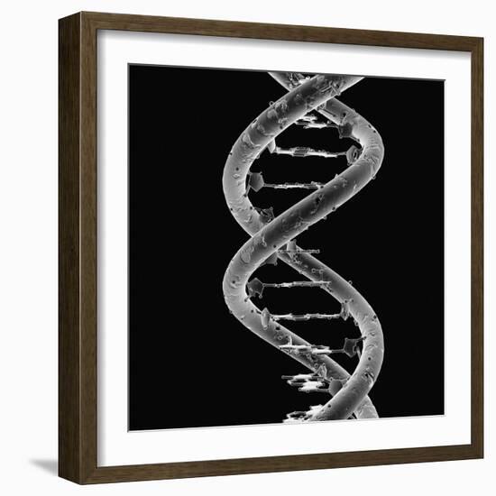 DNA Molecule-Mehau Kulyk-Framed Photographic Print