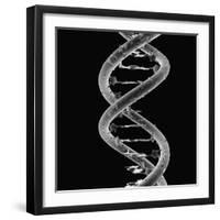 DNA Molecule-Mehau Kulyk-Framed Photographic Print