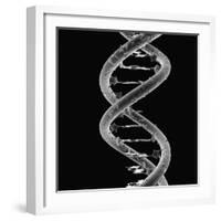 DNA Molecule-Mehau Kulyk-Framed Photographic Print