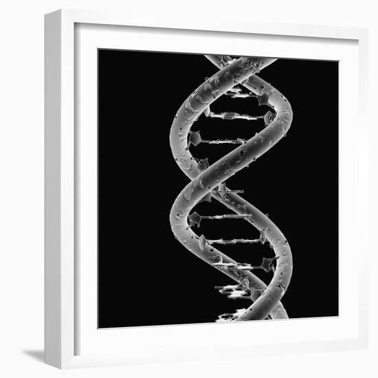 DNA Molecule-Mehau Kulyk-Framed Photographic Print