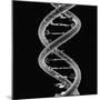 DNA Molecule-Mehau Kulyk-Mounted Photographic Print