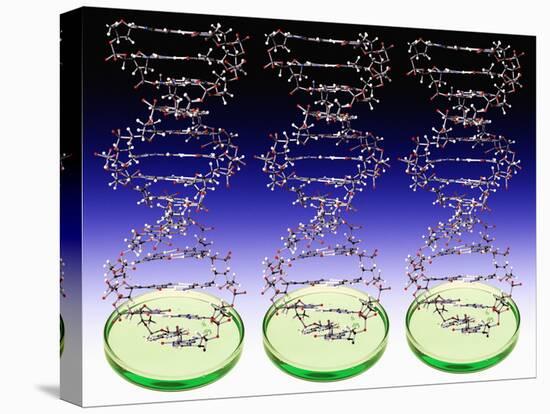 DNA Molecules And Petri Dishes-Victor De Schwanberg-Stretched Canvas