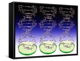 DNA Molecules And Petri Dishes-Victor De Schwanberg-Framed Stretched Canvas