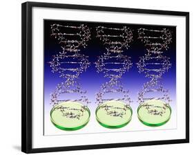 DNA Molecules And Petri Dishes-Victor De Schwanberg-Framed Premium Photographic Print