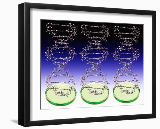 DNA Molecules And Petri Dishes-Victor De Schwanberg-Framed Photographic Print