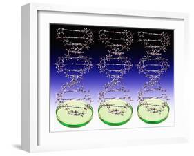 DNA Molecules And Petri Dishes-Victor De Schwanberg-Framed Photographic Print