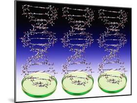 DNA Molecules And Petri Dishes-Victor De Schwanberg-Mounted Photographic Print