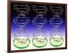 DNA Molecules And Petri Dishes-Victor De Schwanberg-Framed Photographic Print