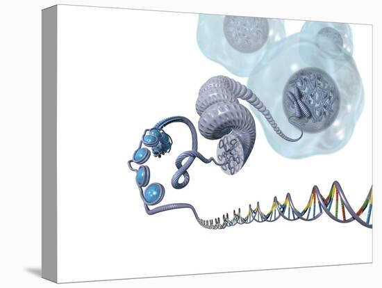 DNA Packaging, Artwork-Henning Dalhoff-Stretched Canvas