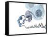 DNA Packaging, Artwork-Henning Dalhoff-Framed Stretched Canvas