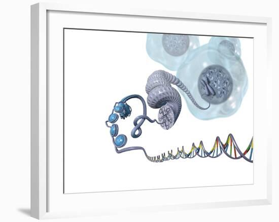 DNA Packaging, Artwork-Henning Dalhoff-Framed Photographic Print