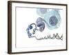 DNA Packaging, Artwork-Henning Dalhoff-Framed Photographic Print