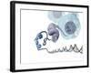 DNA Packaging, Artwork-Henning Dalhoff-Framed Photographic Print