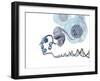 DNA Packaging, Artwork-Henning Dalhoff-Framed Photographic Print