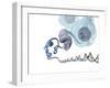 DNA Packaging, Artwork-Henning Dalhoff-Framed Photographic Print