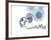 DNA Packaging, Artwork-Henning Dalhoff-Framed Photographic Print