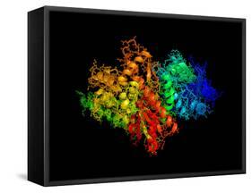 DNA Polymerase Klenow Fragment-Laguna Design-Framed Stretched Canvas