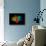 DNA Polymerase Klenow Fragment-Laguna Design-Stretched Canvas displayed on a wall