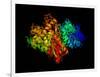 DNA Polymerase Klenow Fragment-Laguna Design-Framed Photographic Print