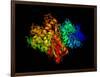 DNA Polymerase Klenow Fragment-Laguna Design-Framed Photographic Print