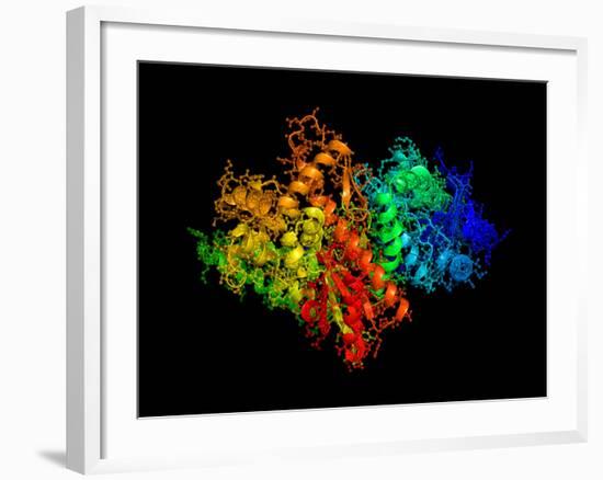 DNA Polymerase Klenow Fragment-Laguna Design-Framed Photographic Print