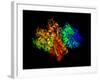 DNA Polymerase Klenow Fragment-Laguna Design-Framed Photographic Print