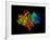 DNA Polymerase Klenow Fragment-Laguna Design-Framed Photographic Print