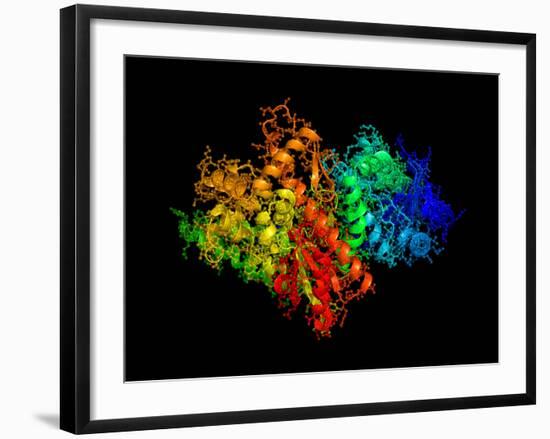 DNA Polymerase Klenow Fragment-Laguna Design-Framed Photographic Print