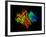 DNA Polymerase Klenow Fragment-Laguna Design-Framed Photographic Print