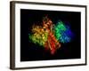 DNA Polymerase Klenow Fragment-Laguna Design-Framed Photographic Print