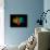 DNA Polymerase Klenow Fragment-Laguna Design-Mounted Photographic Print displayed on a wall