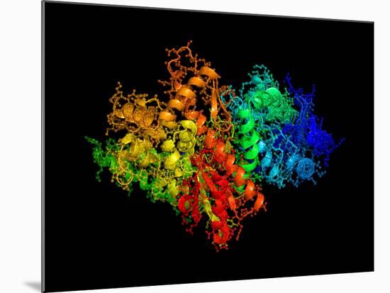 DNA Polymerase Klenow Fragment-Laguna Design-Mounted Photographic Print