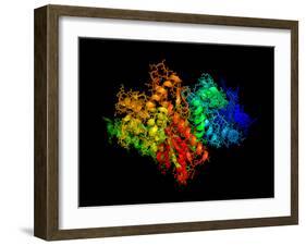 DNA Polymerase Klenow Fragment-Laguna Design-Framed Photographic Print