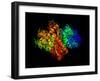 DNA Polymerase Klenow Fragment-Laguna Design-Framed Photographic Print