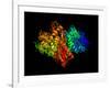 DNA Polymerase Klenow Fragment-Laguna Design-Framed Photographic Print