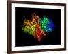 DNA Polymerase Klenow Fragment-Laguna Design-Framed Photographic Print