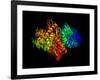 DNA Polymerase Klenow Fragment-Laguna Design-Framed Photographic Print