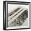 DNA Research-Tek Image-Framed Photographic Print