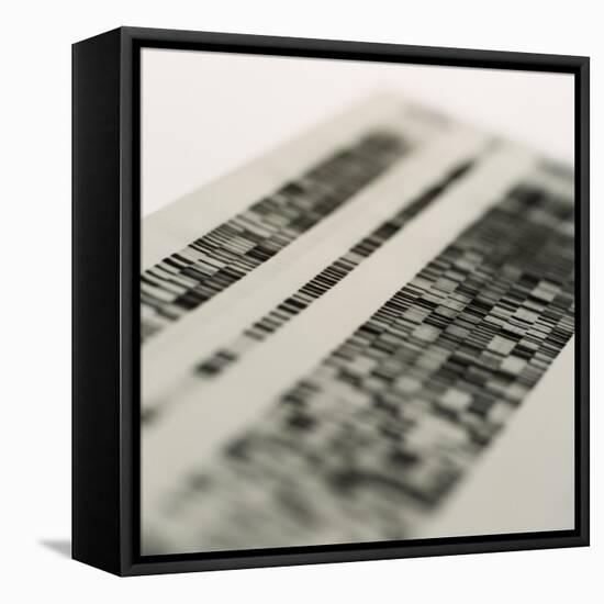 DNA Research-Tek Image-Framed Stretched Canvas