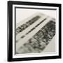 DNA Research-Tek Image-Framed Photographic Print