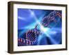 DNA Strand, Artwork-PASIEKA-Framed Photographic Print