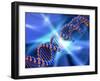 DNA Strand, Artwork-PASIEKA-Framed Photographic Print