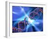 DNA Strand, Artwork-PASIEKA-Framed Photographic Print