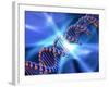 DNA Strand, Artwork-PASIEKA-Framed Photographic Print