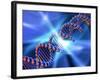 DNA Strand, Artwork-PASIEKA-Framed Photographic Print