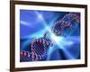 DNA Strand, Artwork-PASIEKA-Framed Photographic Print